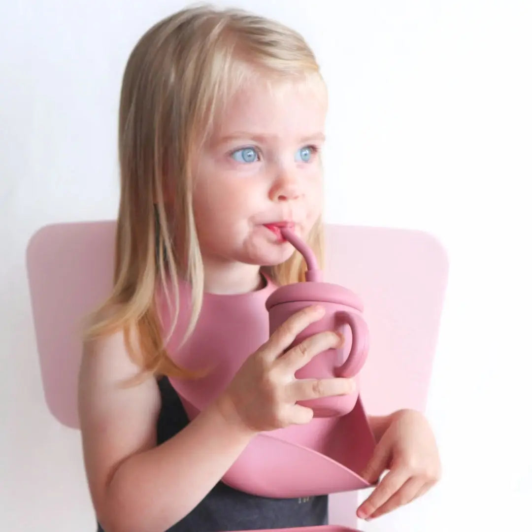 Silicone Bib - Dusty Rose: Dusty Rose