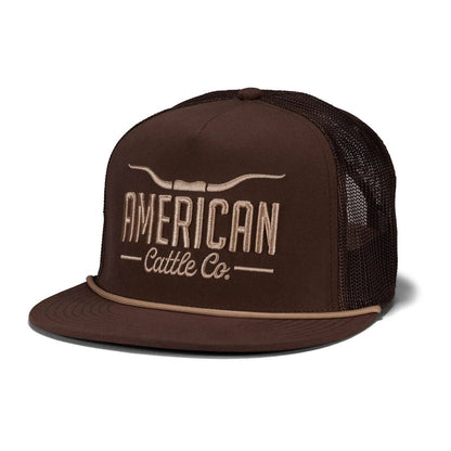 Longhorn Hat: Black/Gold