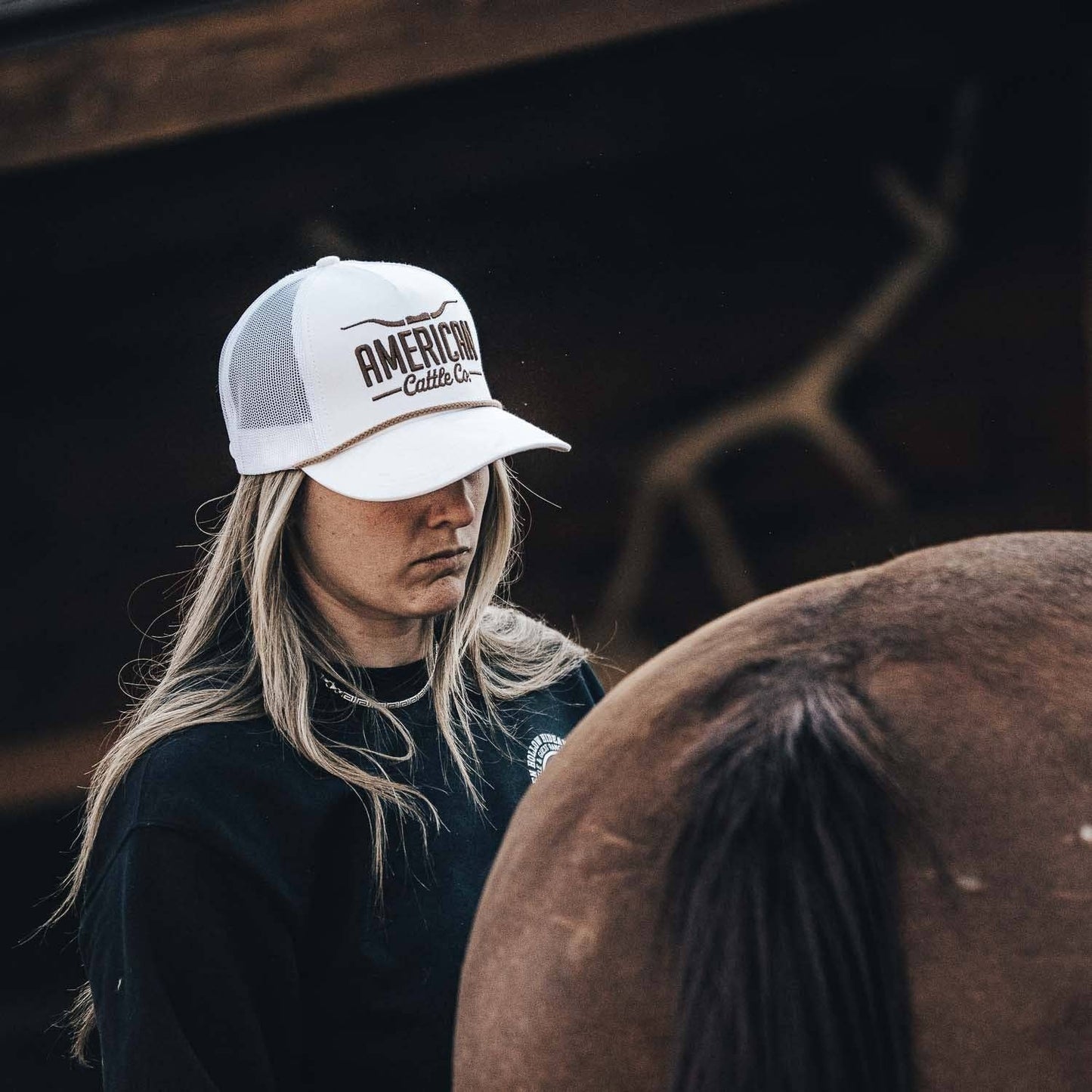 Longhorn Hat: Black/Gold