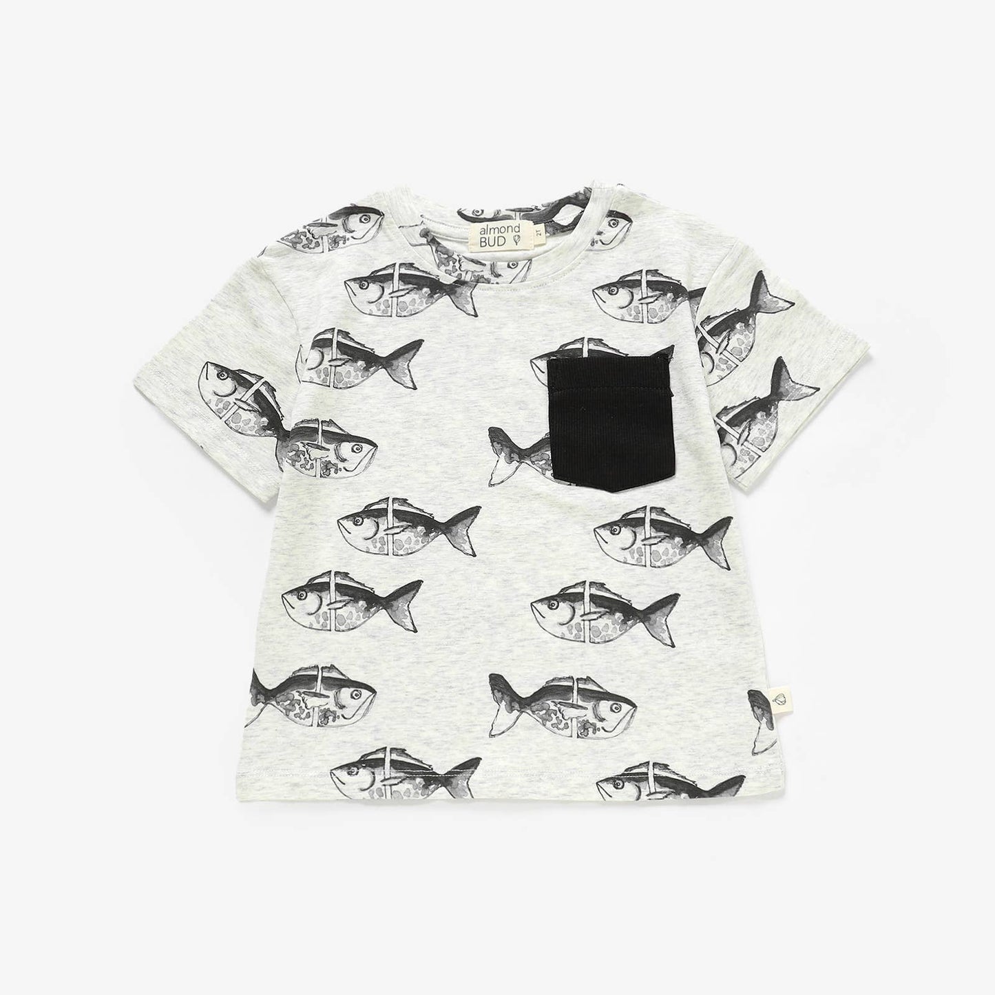 Lazy Fish Boy Summer Set| Organic Cotton Boy Summer Outfit |: 5T