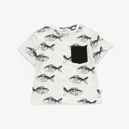 Lazy Fish Boy Summer Set| Organic Cotton Boy Summer Outfit |: 2T