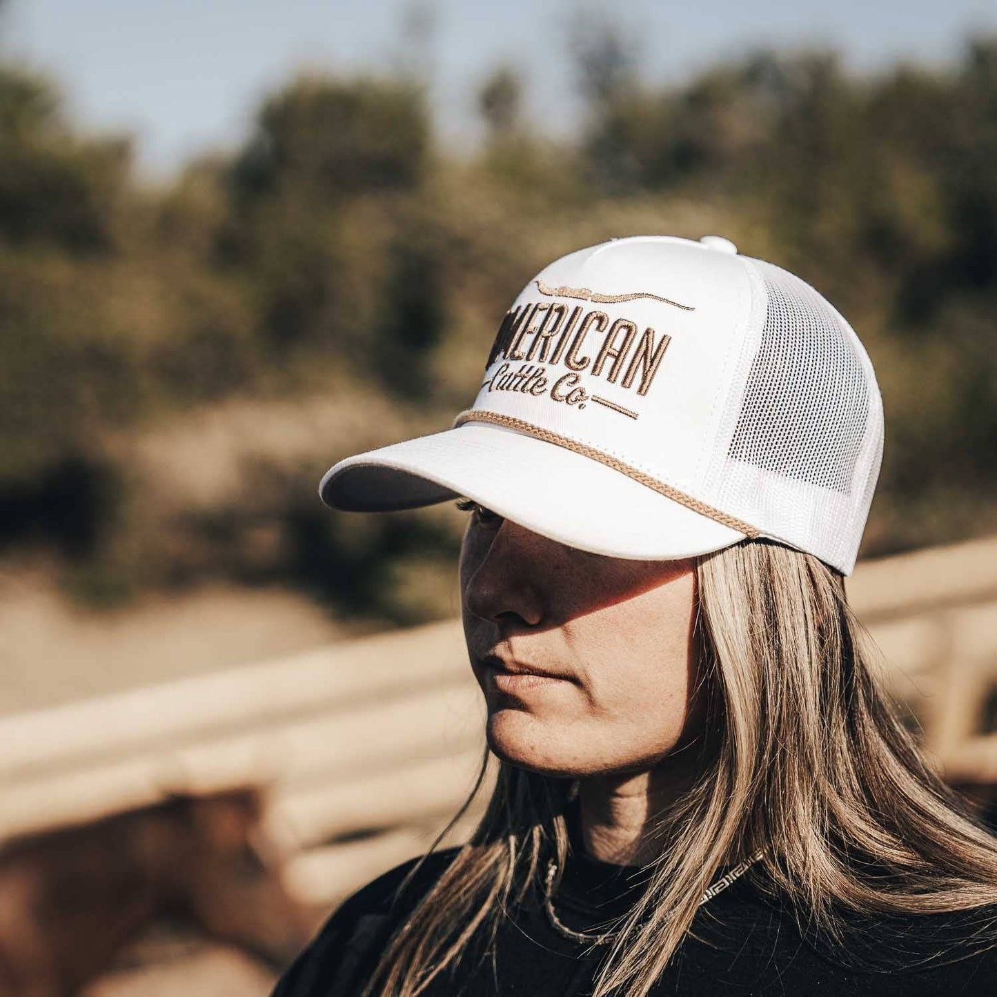 Longhorn Hat: Black/Gold