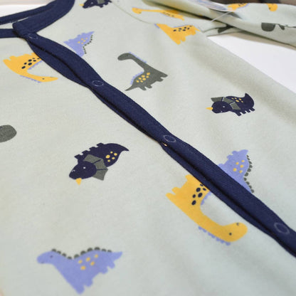 Dinosaurs Pattern Zipper Footie Pajamas