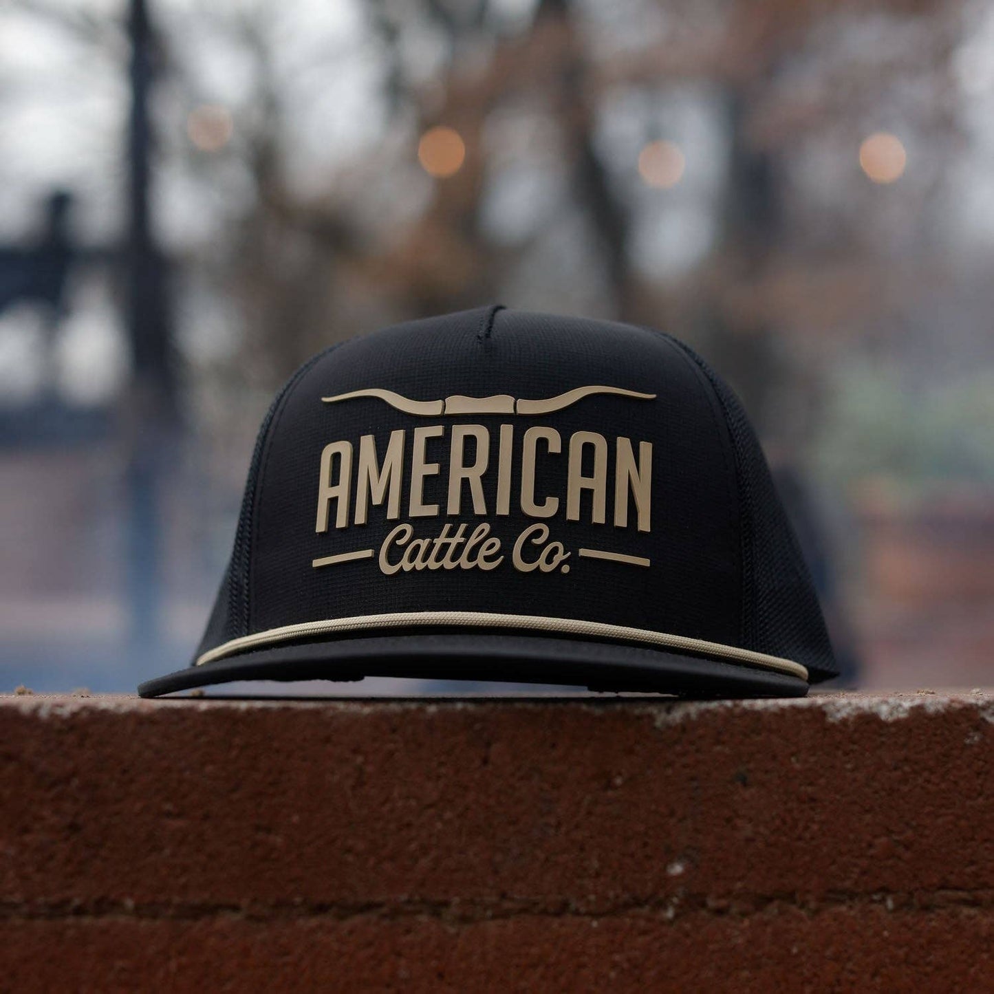 Longhorn Hat: Black/Gold