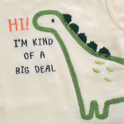 Baby 3pcs Chenille Applique Bodysuit Hat Pants Set