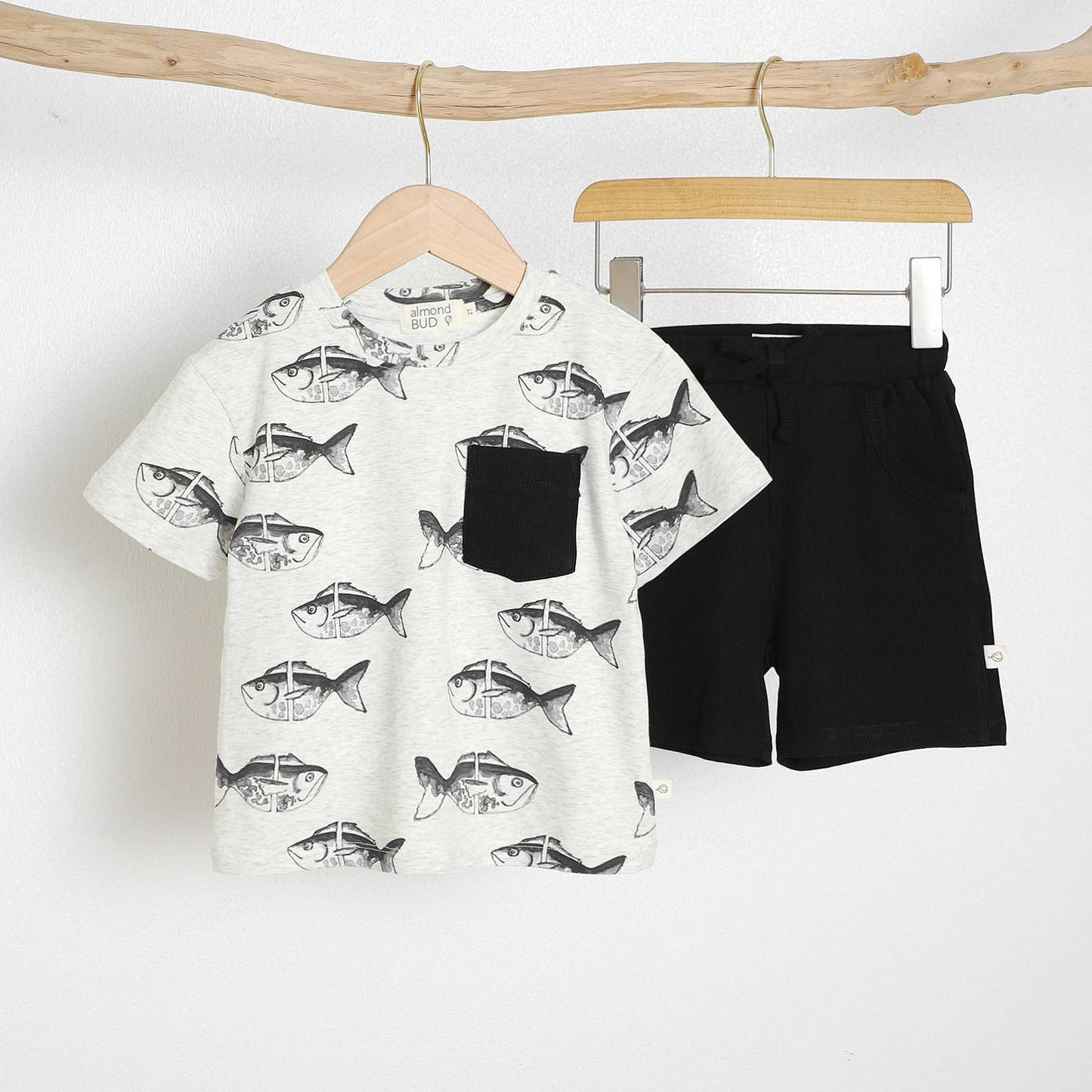 Lazy Fish Boy Summer Set| Organic Cotton Boy Summer Outfit |: 3T